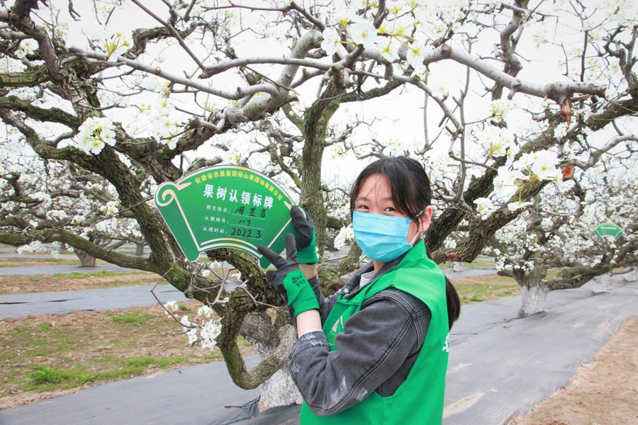 新澳门全年免费原料网