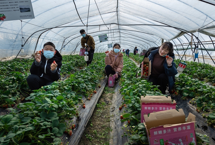 新澳门全年免费原料网