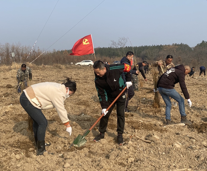 新澳门全年免费原料网