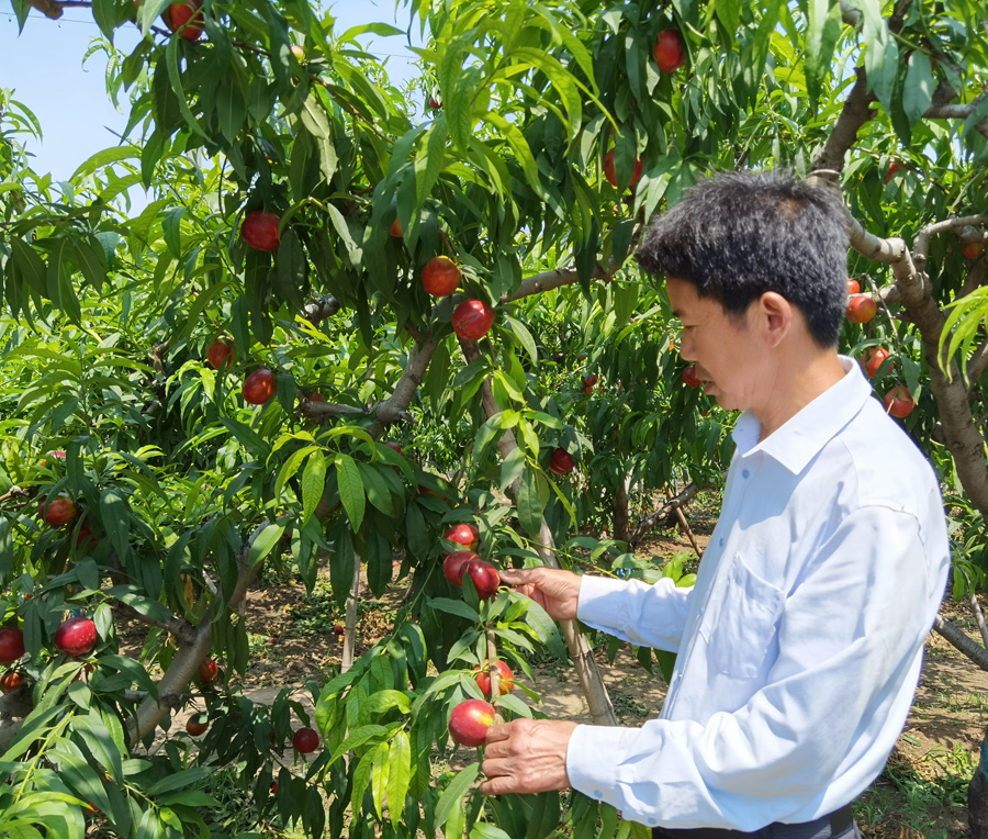 新澳门全年免费原料网